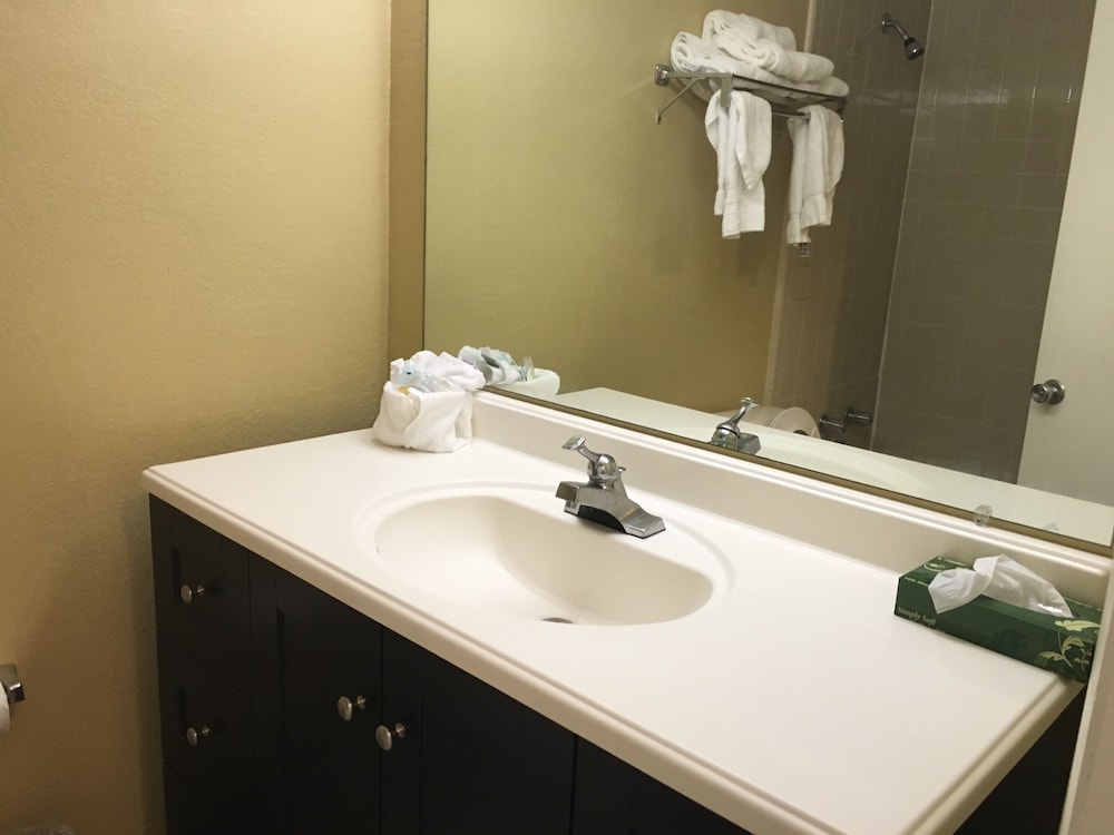 Ambassador Inn And Suites - photo 43