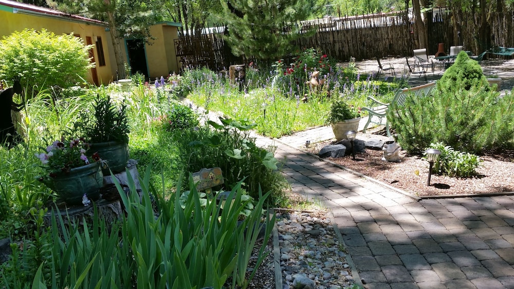 Dreamcatcher Bed and Breakfast - photo 128