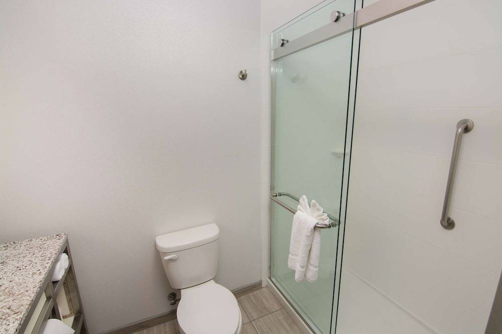 Hilton Garden Inn Tampa Suncoast Parkway - photo 47
