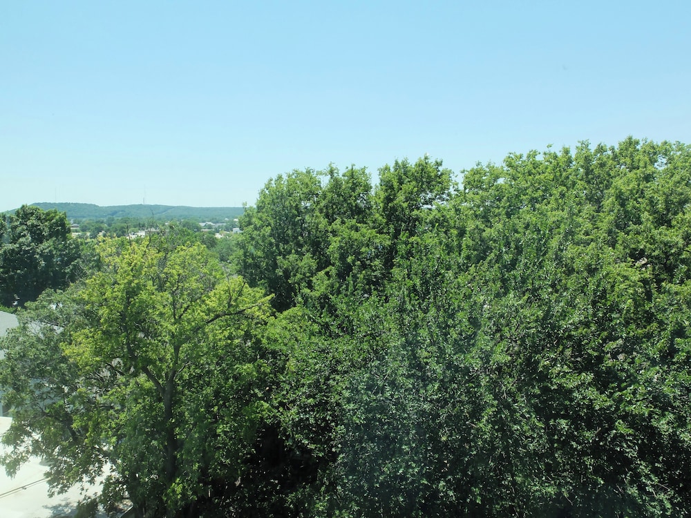 Brut Hotel - photo 38