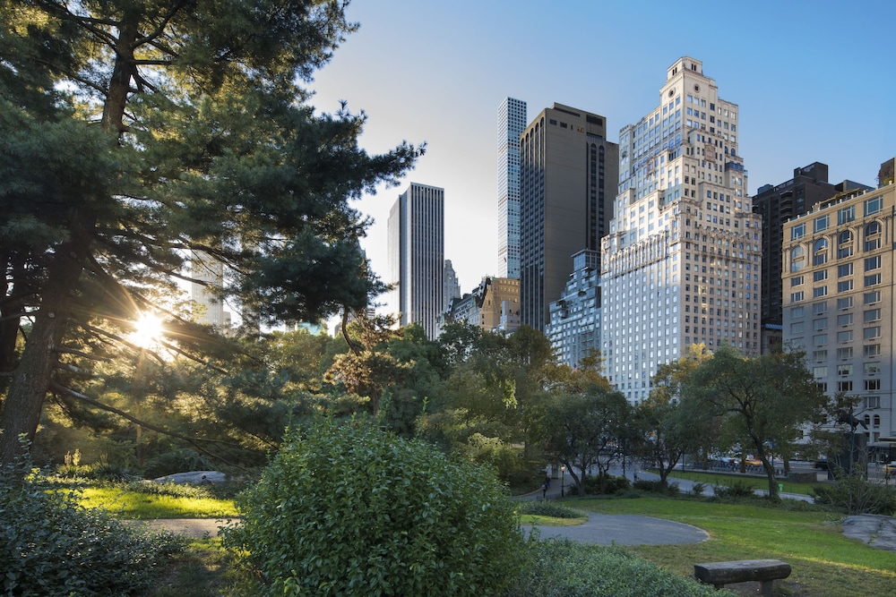 The Ritz Carlton New York Central Park - photo 113
