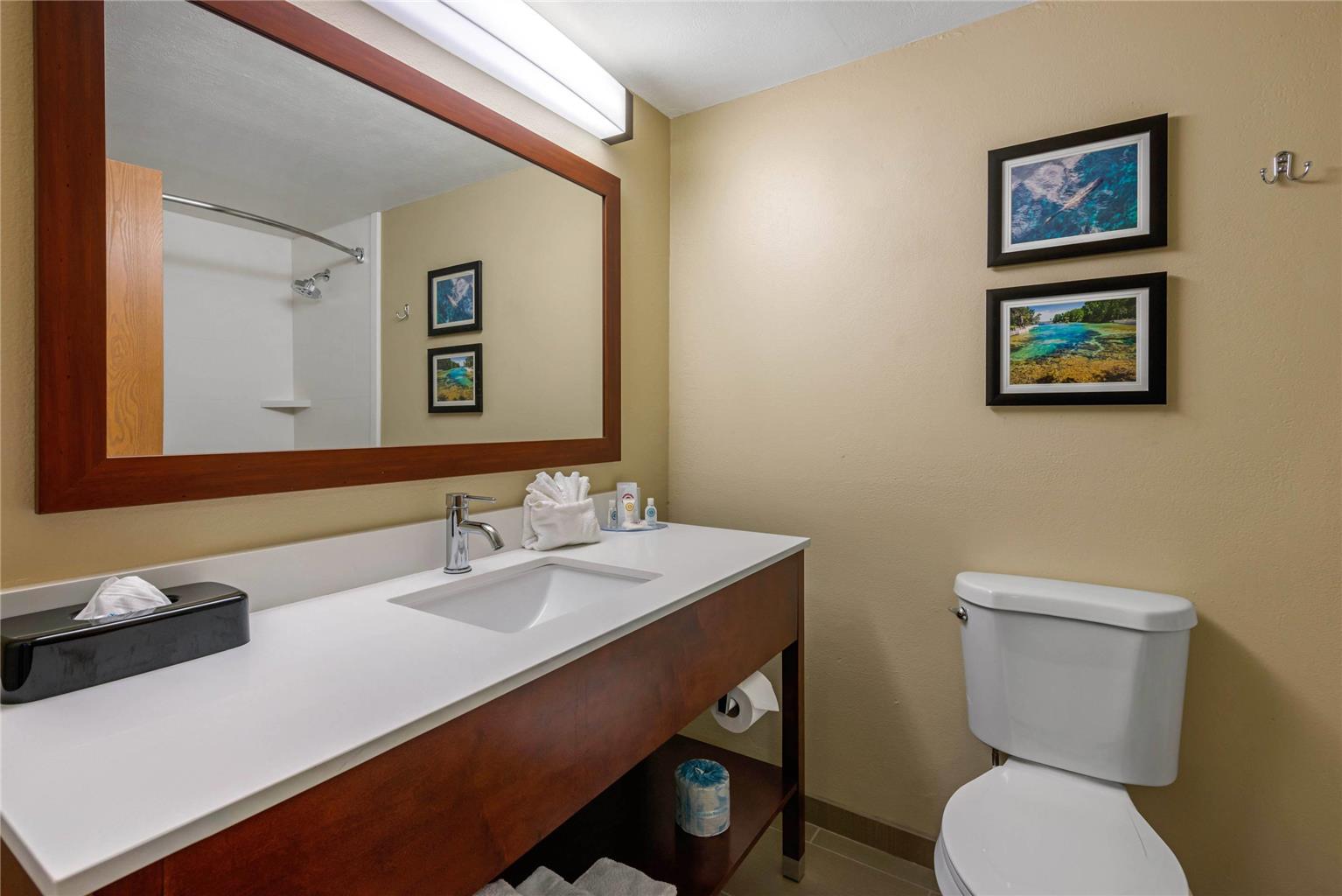 Comfort Inn Ocala Silver Springs - photo 25