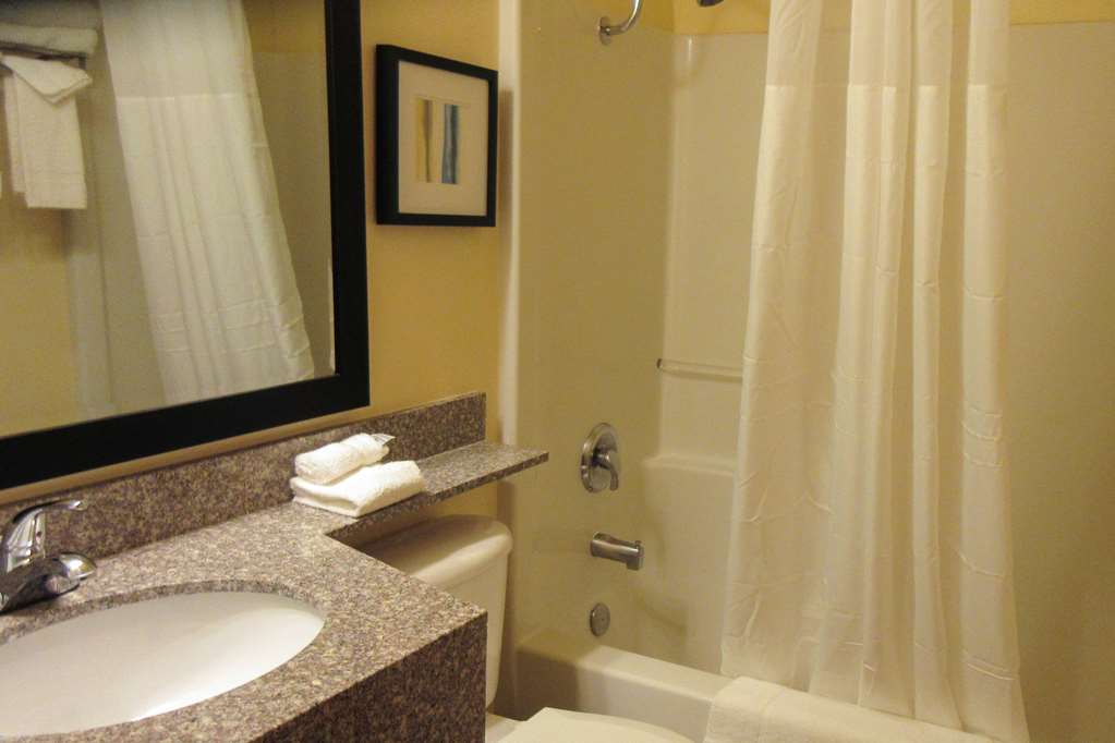 Quality Inn & Suites near NAS Fallon - photo 13