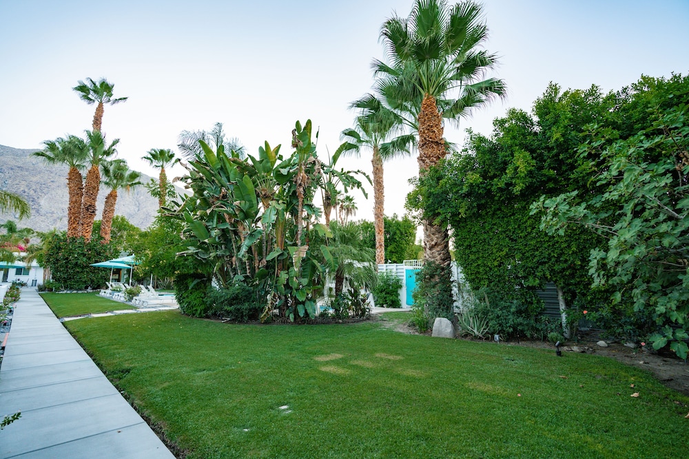 BelleVue Oasis Palm Springs Adults Only - photo 46