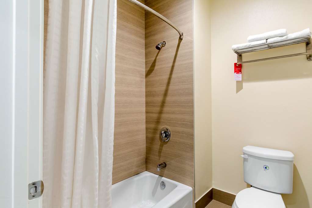 Econo Lodge Inn & Suites Houston Willowbrook - photo 33