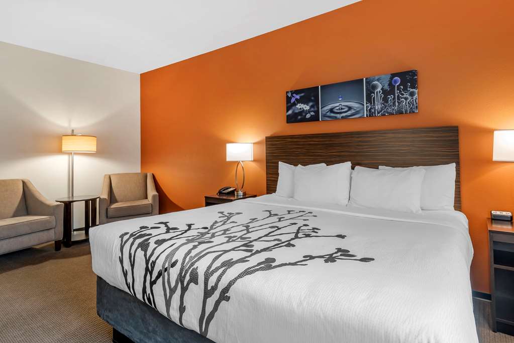Sleep Inn & Suites Moab near Arches National Park - photo 10