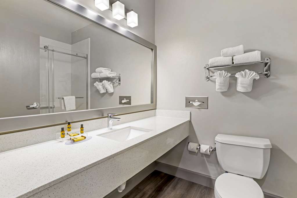 Best Western Plus Hobby Airport Inn & Suites - photo 19