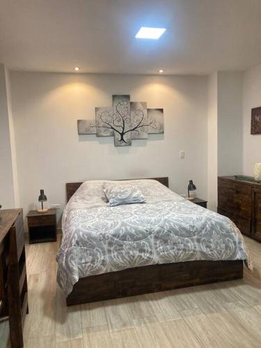 Cozy Suite Cuenca — 4-Star Luxury Hotel in Cuenca, Ecuador