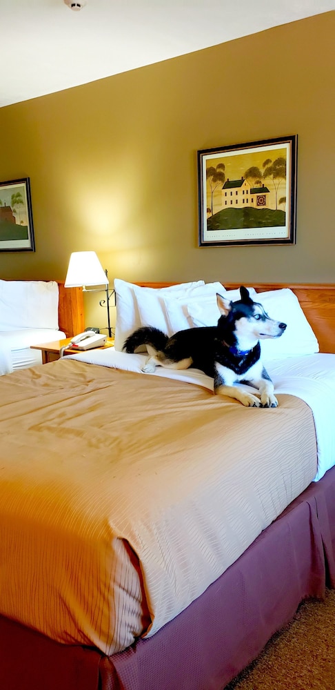 Lodging on the Square - photo 28