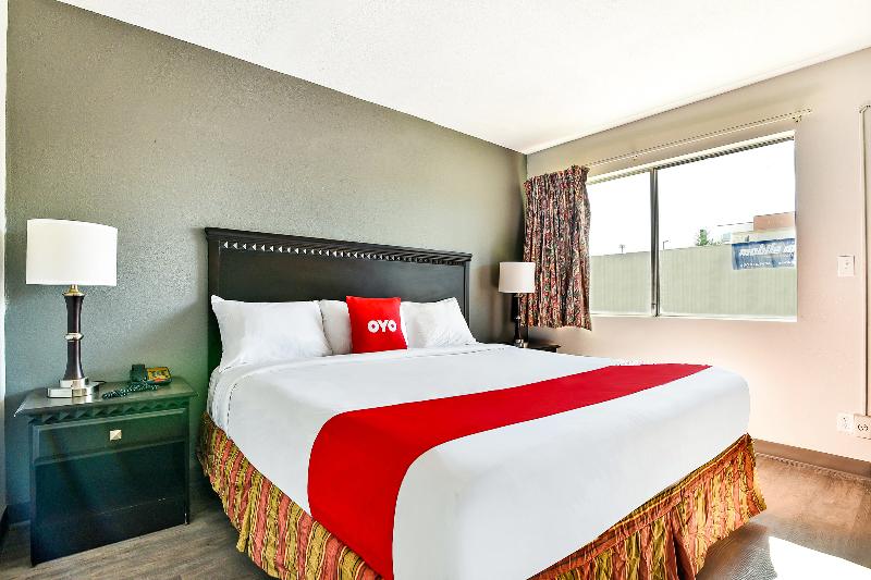 OYO Hotel Shreveport Airport North - photo 44