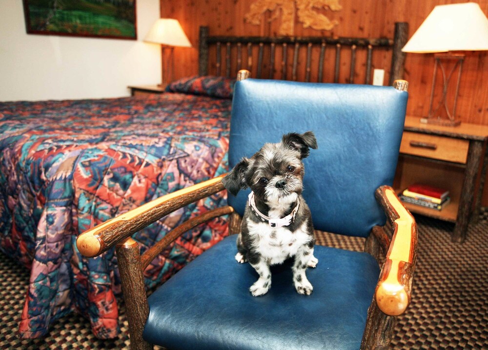 Lakeside Inn and Casino - photo 12