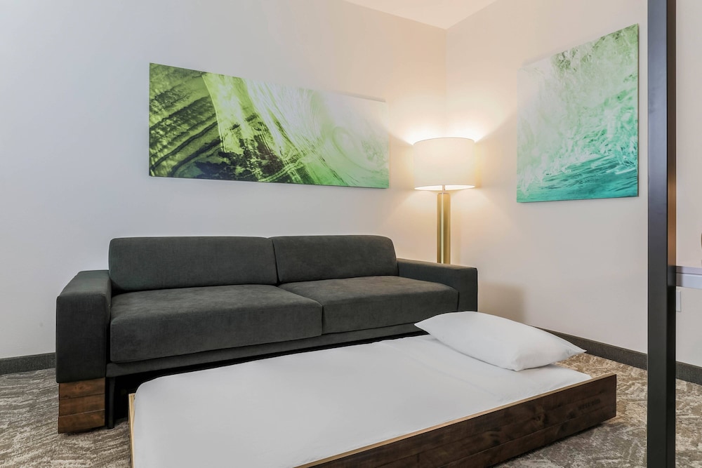 SpringHill Suites by Marriott Tallahassee North - photo 10