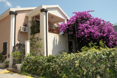 Villa Danile Cosy Apartments — 4-Star Luxury Hotel in Budva, Montenegro