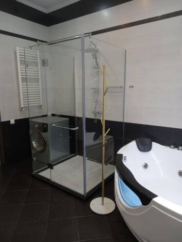 Tskaltubo Apartment Mirian Mepe