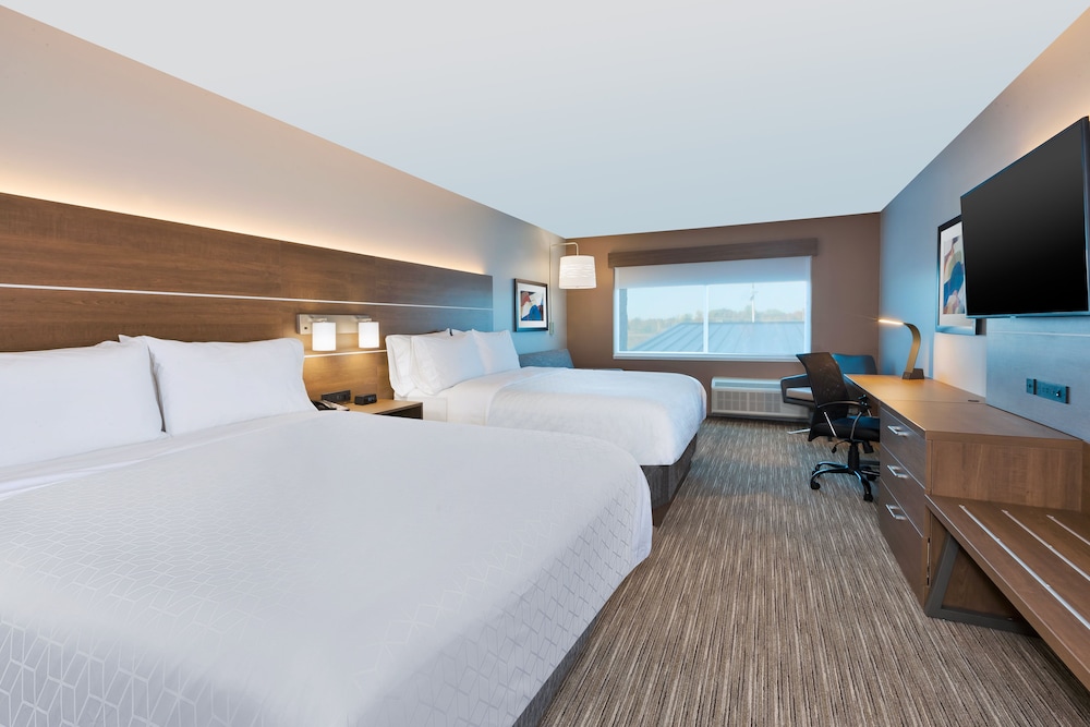 Holiday Inn Express & Suites Cedar Springs Grand Rapids N an IHG Hotel - photo 3