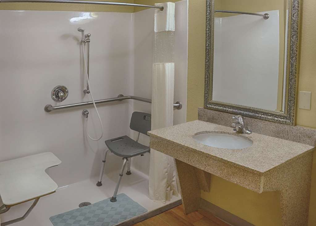 La Quinta Inn & Suites by Wyndham Alice - photo 7