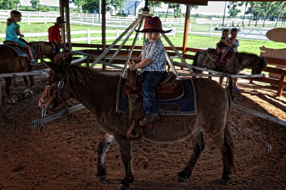 Westgate River Ranch Resort & Rodeo - photo 128