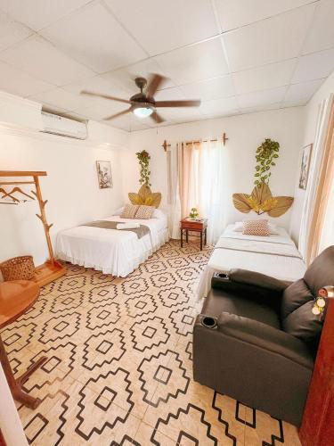 Alas pintadas in La Pintada, Panama