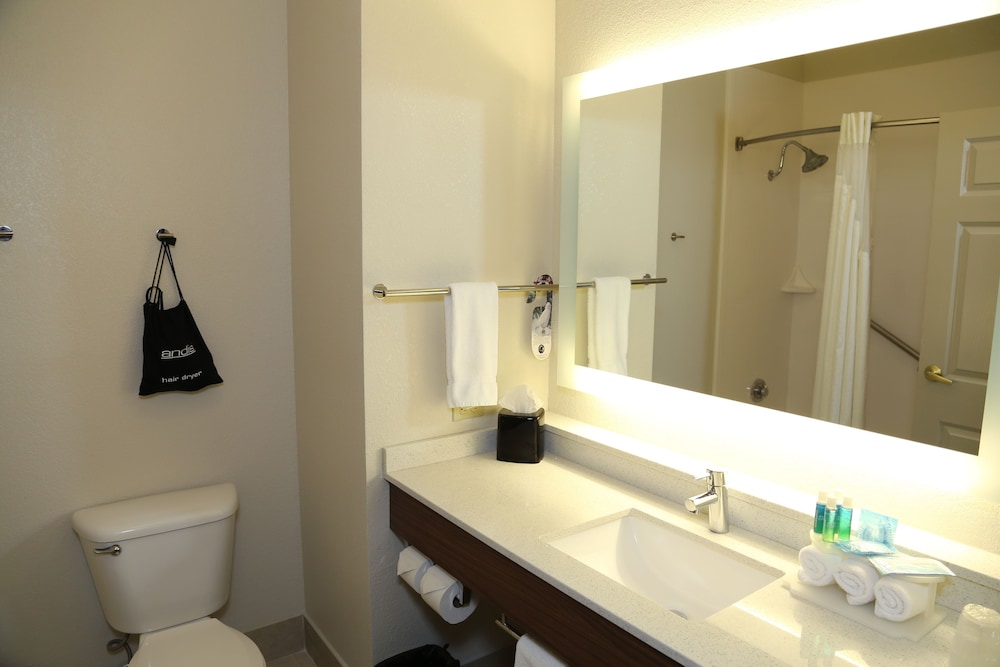 Holiday Inn Express Hotel & Suites Greenville by IHG - photo 23