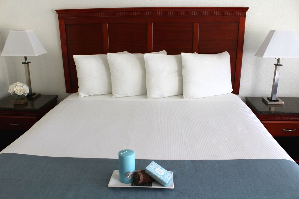 Pacific Inn and Suites - photo 19