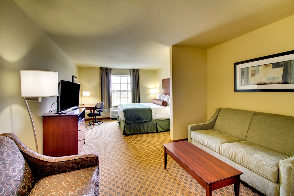Cobblestone Hotel & Suites Pecos - photo 15