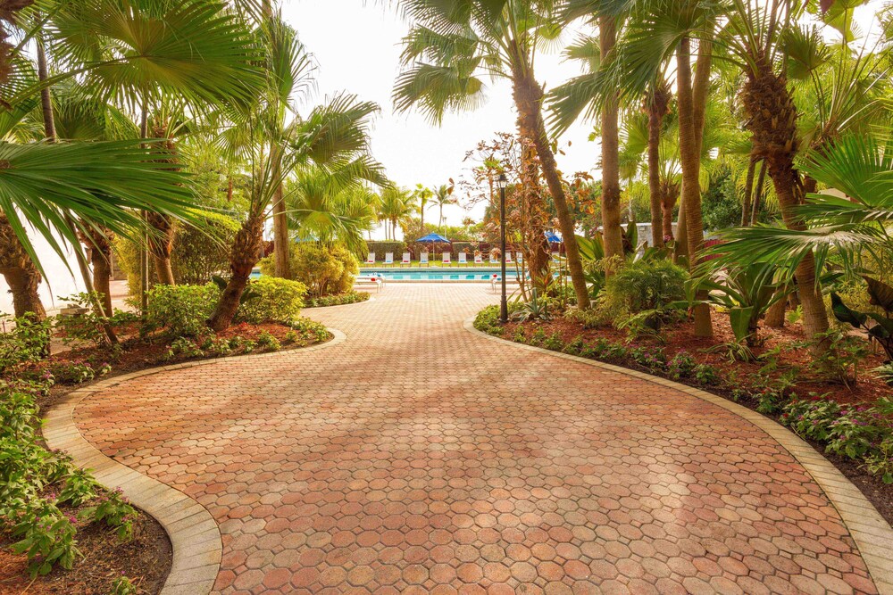 Seagull Hotel Miami Beach - photo 24
