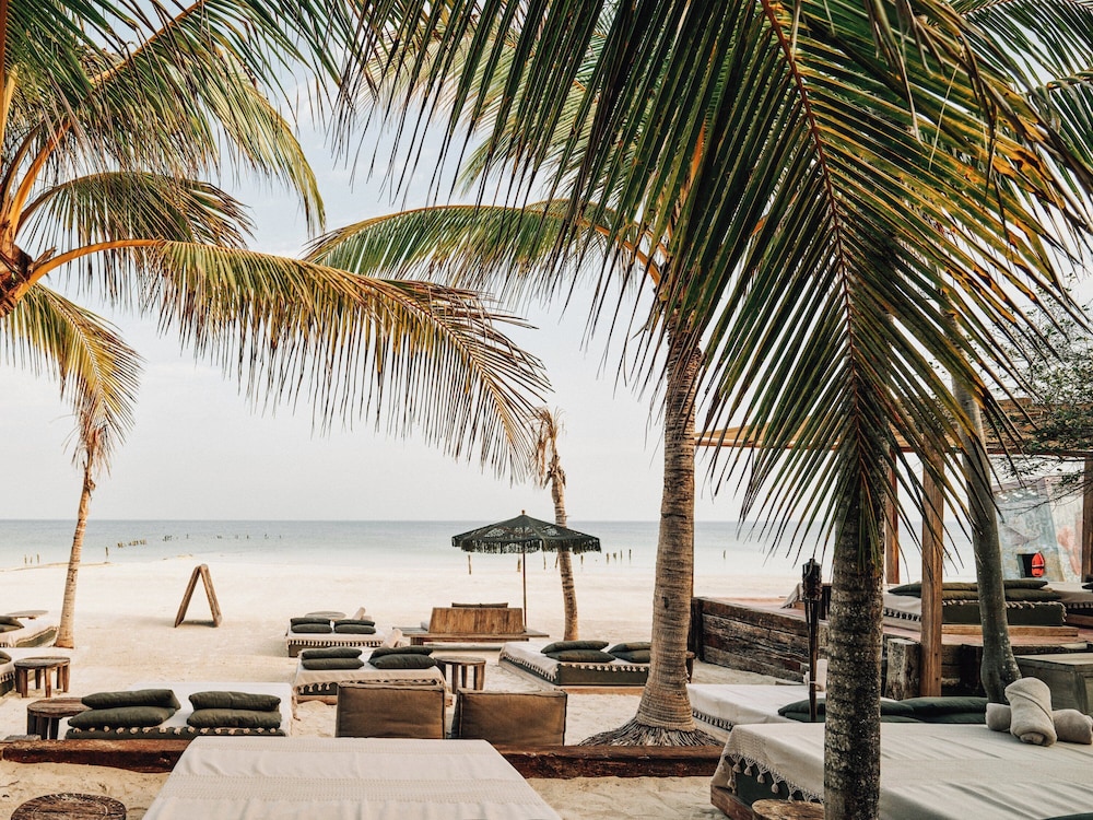Beach bar