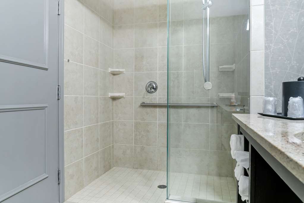 Comfort Inn Plainwell - photo 22