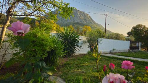 Grace And Harmony of Ancient Corinth in Korinthos, Greece