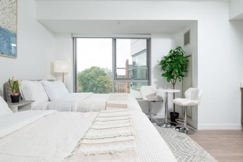 Lux Studio 2xQueen beds Gym near MIT Harvard — 4-Star Luxury Hotel in Cambridge, United States