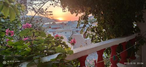 Odysseas Hotel Samos — Samos — photo 4