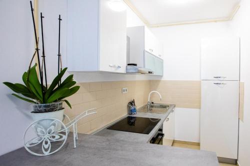 Apartmani 6m I M5 — 4-Star Luxury Hotel in Zagreb, Croatia