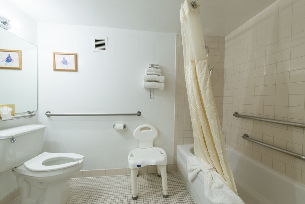 Vacation Inn Phoenix - photo 20