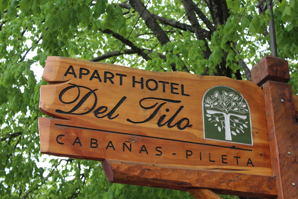 Apart Hotel Del Tilo in San Martin De Los Andes, Argentina