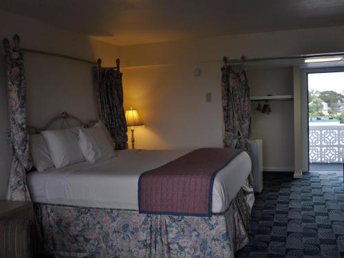 The Diplomat Family Motel - photo 54