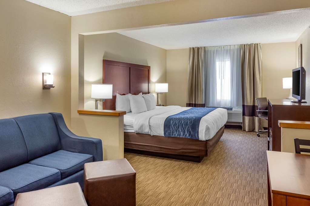 Comfort Inn Rockford near Casino District - photo 32