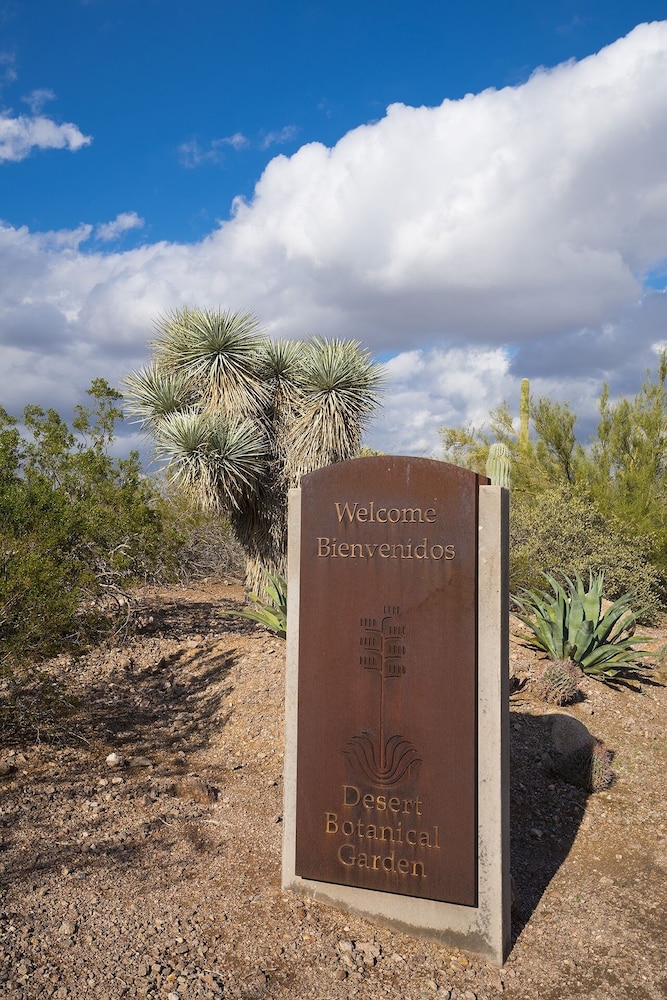 Scottsdale Park Suites - photo 34