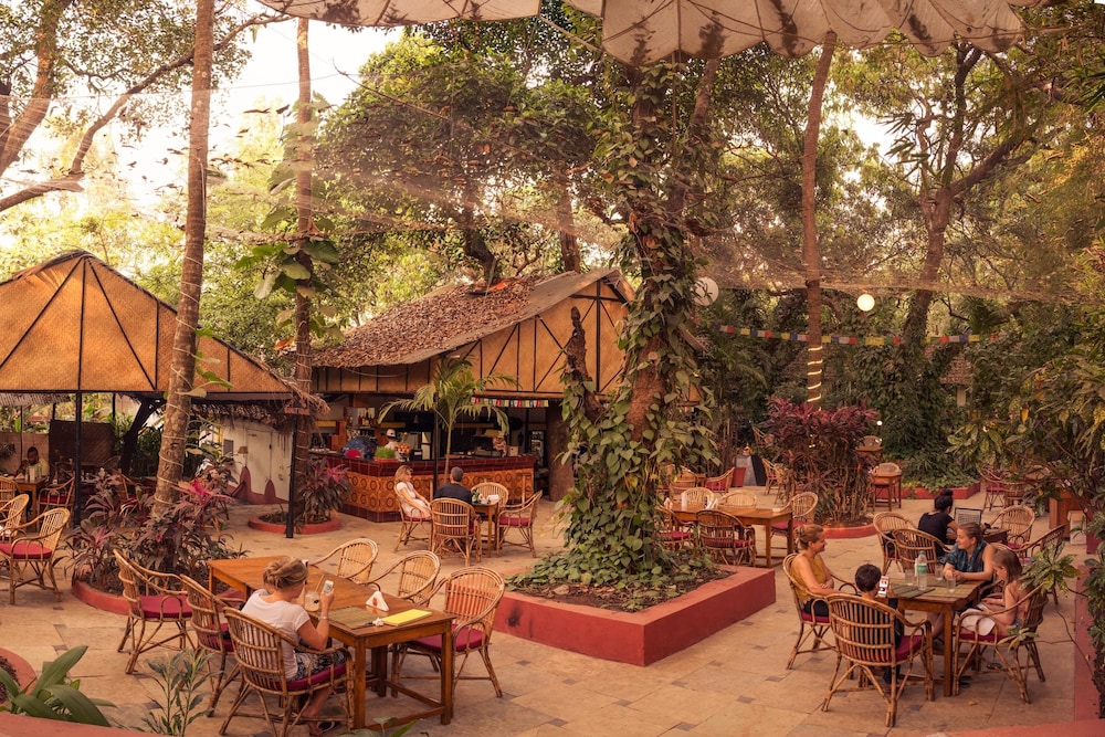 Bean Me Up in Vagator, India