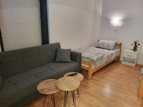 Studio Janko in Vrnjacka Banja, Serbia