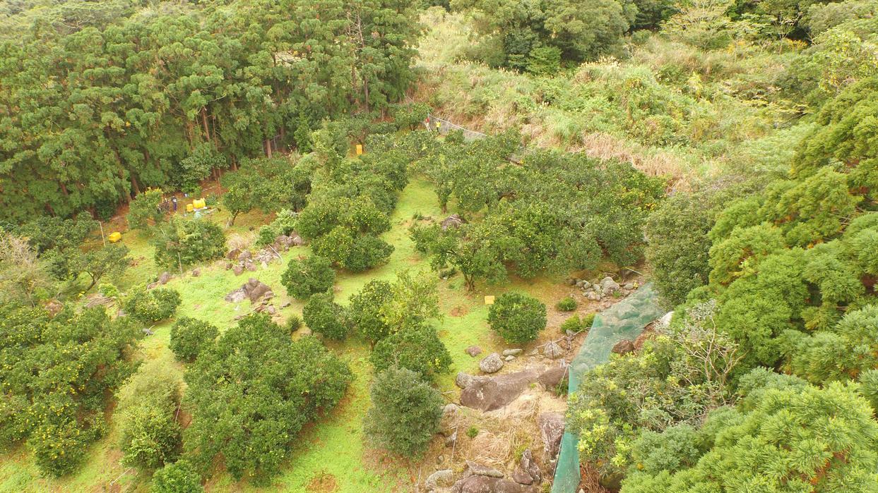 Hotel Auberge in Kagoshima, Japan