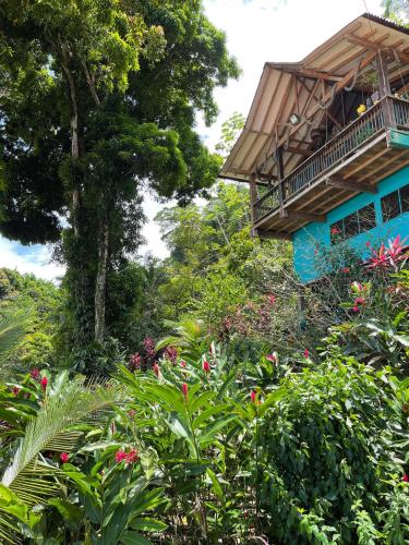 Ecolodge El Arca Bahia Solano — Bahia Solano