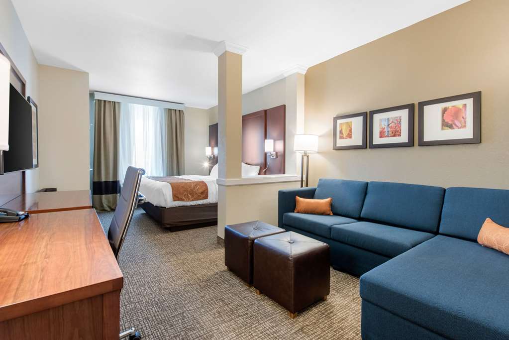 Comfort Suites Denver International Airport - photo 14