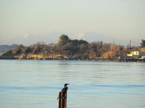 Hotel De La Pyramide — Meze — photo 2