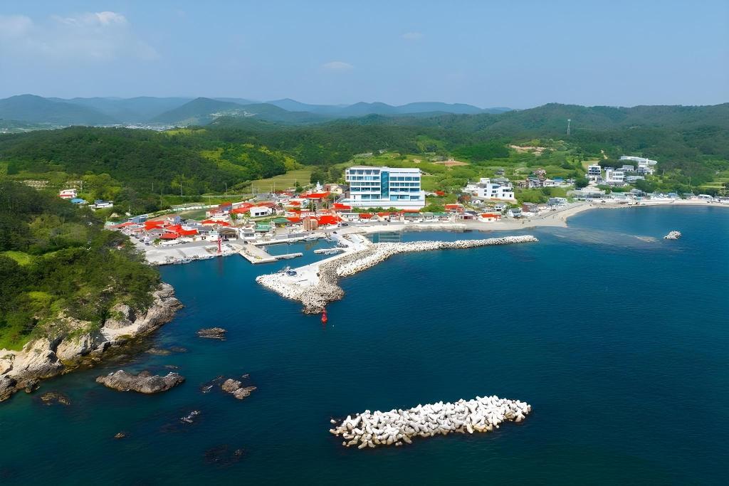 Pohang Madame Annette Pool Villa dogs allowed — 4-Star Luxury Hotel in Pohang, South Korea