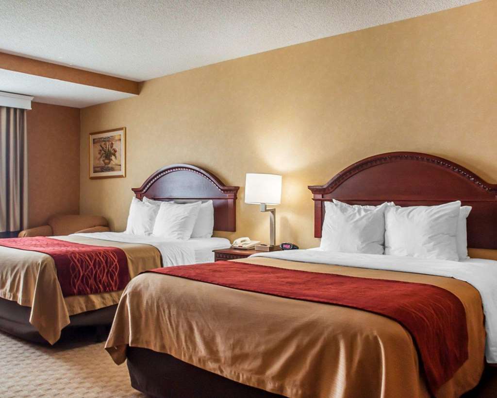 Quality Inn Near Walden Galleria Mall - photo 13
