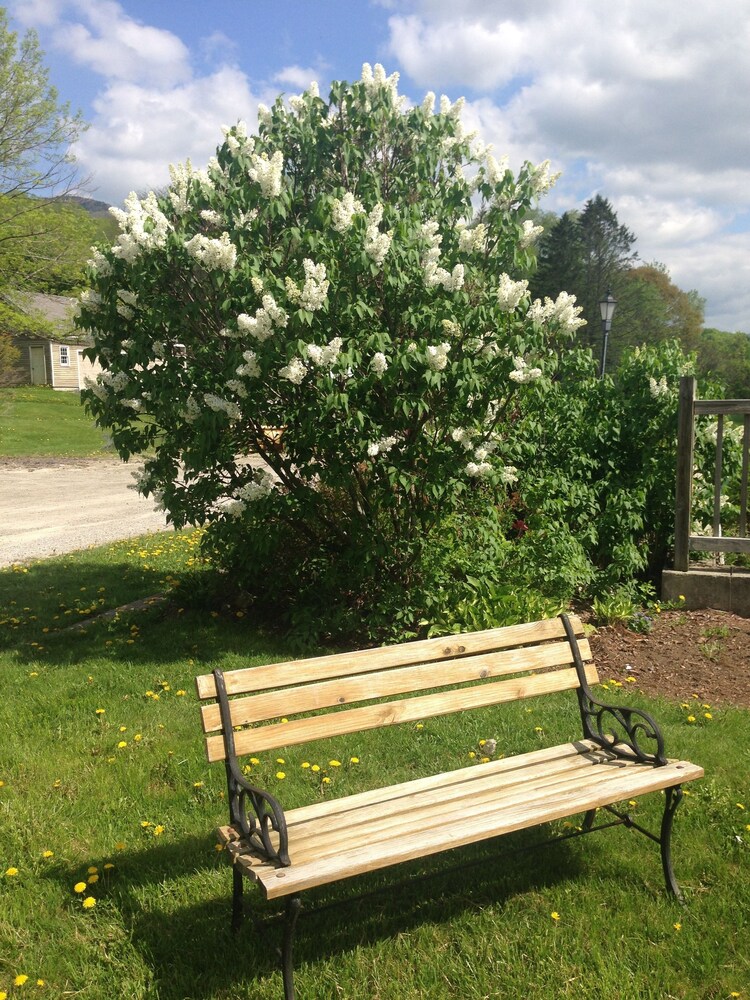 The Inn at Willow Pond - photo 22