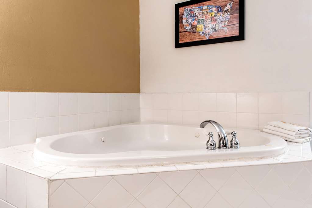 Econo Lodge Holland Toledo - photo 23