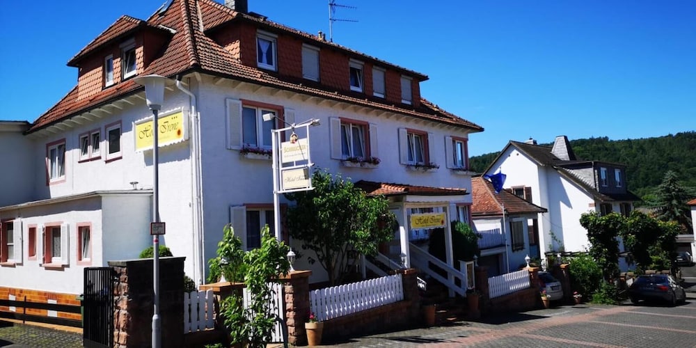 Hotel Irene — hotel in Bad Koenig