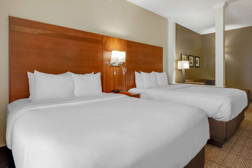 Comfort Suites Hotel and Conference Center - photo 18