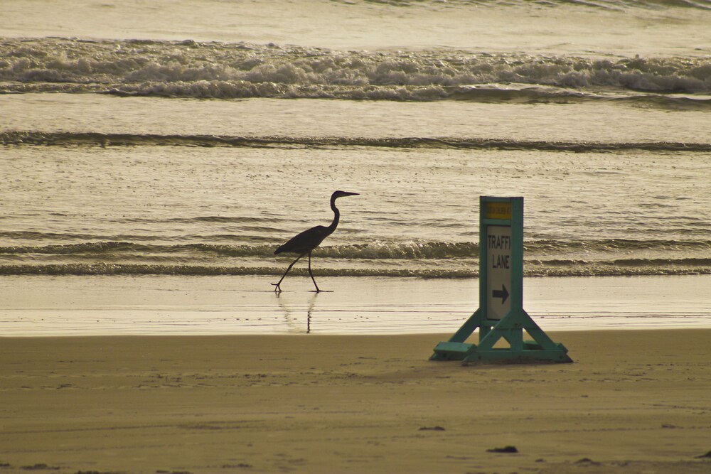 Makai Beach Lodge - photo 46